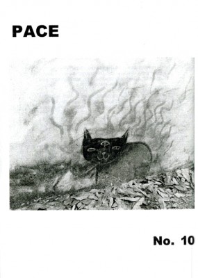 3060