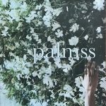 “Palmss” Issue No.3