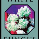 WHITE FUNGUS #16